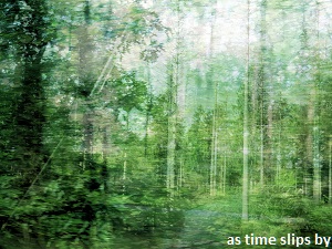 anita snik-broeken, fotografie, as time slips by